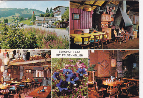 AK Bödele ob Dornbirn. Berghof Fetz mit Felsenkeller.