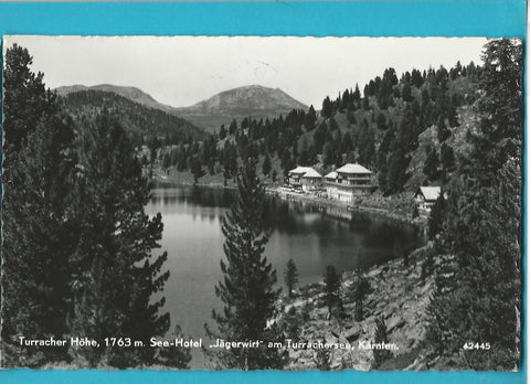 AK Turracher Höhe See-Hotel Jägerwirt am Turrachersee.