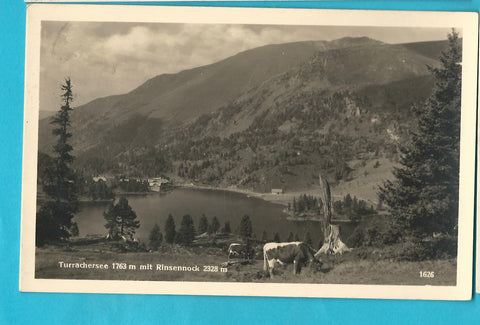 AK Turrachersee mit Rinsennock. (1934)