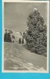 AK Turracherhöhe im Rauhreif. (1929)