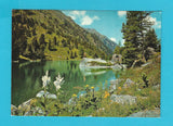 AK Weißer Germer, Fuchskreuzkraut und Arnika am Dieslingsee im Nordkar des Eisenhut.