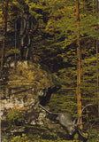 AK Bad Ischl. Jagdstandbild Kaiser Franz Josefs I.