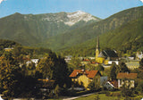 AK Bad Ischl mit Ziemnitz.