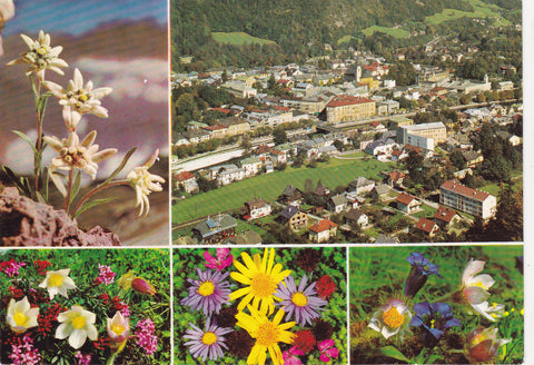 AK Bad Ischl.