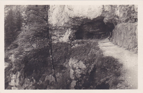 AK Dachsteinhöhlen-Park bei Obertraun. Wegtunnel am Reitweg zur Schönbergalpe.