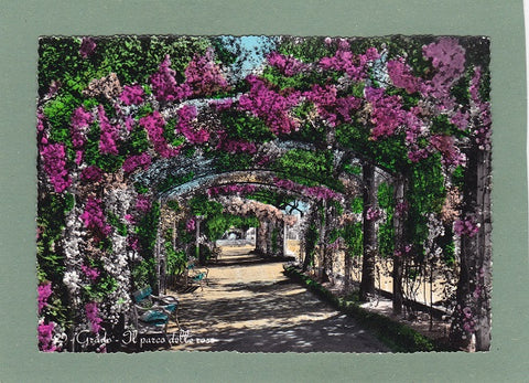 AK Grado – Il parco delle rose.