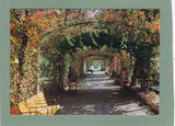 AK Grado. Il Parco delle Rose.