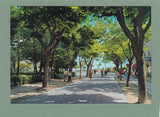 AK Grado. Viale Principale.