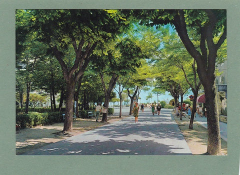 AK Grado. Viale Principale.