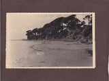 Foto Grado Pineta.