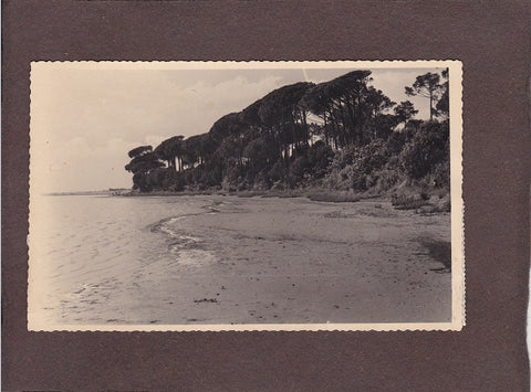 Foto Grado Pineta.