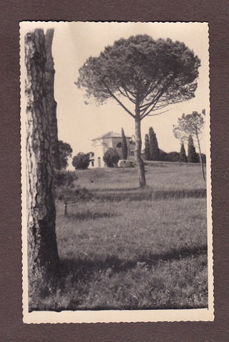 Foto Grado Pineta.