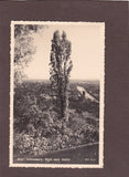 AK Graz – Schlossberg – Blick nach Süden.