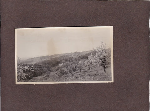 Foto Blick von der Waltendorfer Hauptstraße (beim Weberwirt) nach Petersbergen. Graz.
