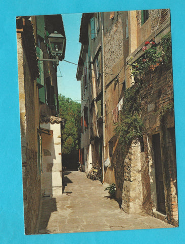 AK Grado Vecchia.