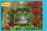 AK Grado. Il Parco delle rose.