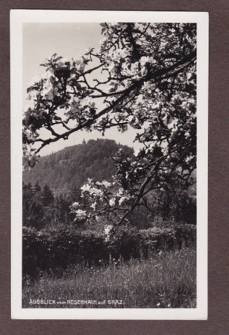 AK Ausblick vom Rosenhain auf Graz. (1931)
