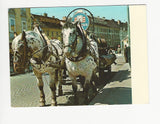 AK Grazer Bierwagen. (1984)