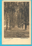 AK Graz, Sacre-Coeur. Philomena-Allee.