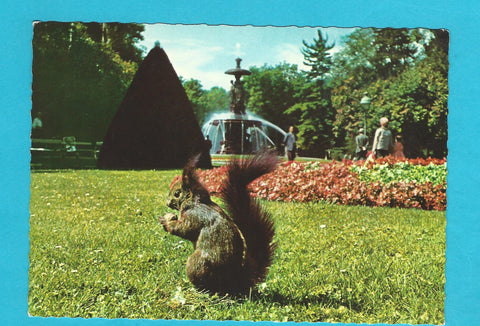 AK Graz. Hansi im Stadtpark.