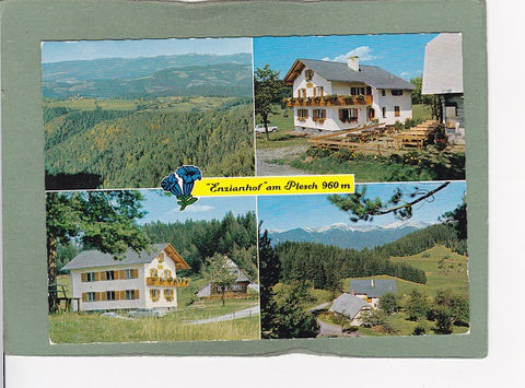 AK Enzianhof am Plesch. A. u. M. Schaupp, Plesch 94. St. Pankratzen.