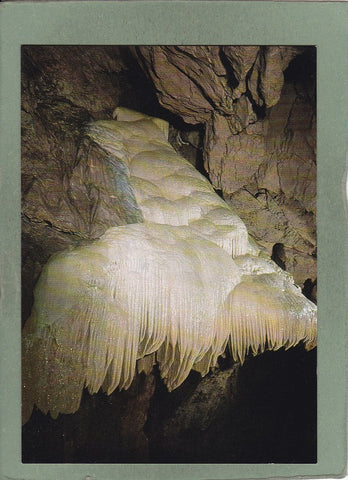 AK Lurgrotte Peggau „Riesenpalme“