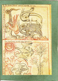 Karte Reiner Musterbuch. Codex Vindobonensis 507.