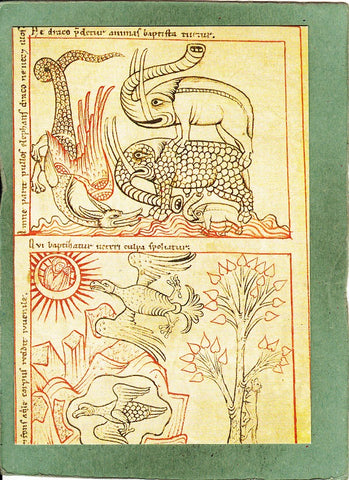 Karte Reiner Musterbuch. Codex Vindobonensis 507.