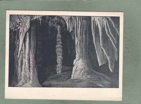 AK Lurgrotte-Peggau / Zauberwald.