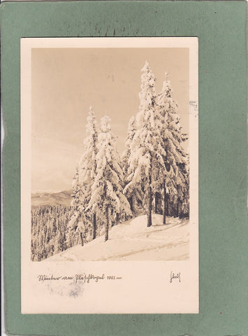 AK Winter am Pleschkogel.