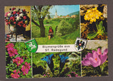 AK Blumengrüße aus St. Radegund.