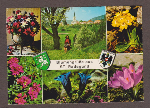 AK Blumengrüße aus St. Radegund.