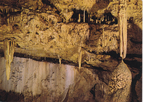 AK Lurgrotte - Semriach. Bärengrotte.