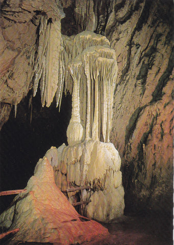 AK Lurgrotte Peggau-Semriach. "Piniengruppe".
