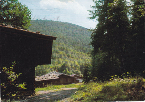 AK Stübing. Österreichisches Freilichtmuseum. Tiroler Baugruppe von Norden gesehen.