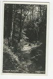 AK Kurort Radegund. Homolaweg. (1939)