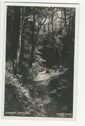 AK Kurort Radegund. Homolaweg. (1939)