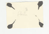 Foto Gleinalm Schutzhaus.