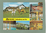 AK Stubenberg am See. Michlhof. Gasthof Pension M. u. E. Schlagbauer.