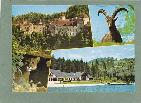 AK Tierpark Herberstein am Stubenbergsee.