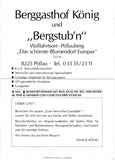 Werbe-Doppel-Ansichtskarte Berggasthof König und „Bergstub'n“ Pöllauberg.