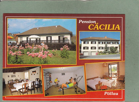 Ak Pöllau. Pension Cäcilia. Inhaber: Renate Wilfinger. Ortenhoferstr. 69.