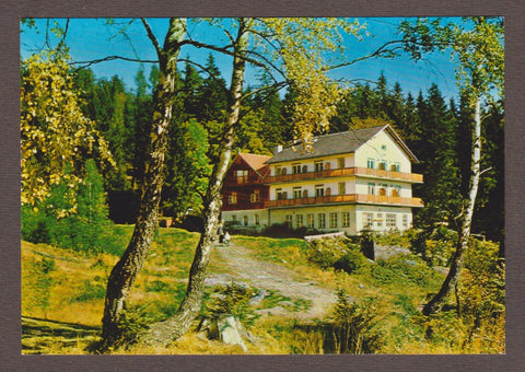 AK Schaueregg bei Mönichkirchen am Wechsel. Waldgasthof Pension Tränk-Törl.