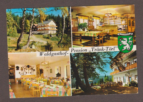 AK Schaueregg bei Mönichkirchen am Wechsel. Waldgasthof Pension Tränk-Törl.