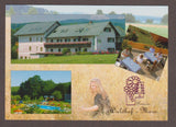 AK Seibersdorf 84. Waldhof - Mara.