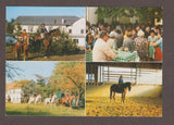 AK St. Johann in der Haide. Altenberg. Gasthof Pension Pfeifer. Reiterzentrum Häuserl am Wald.