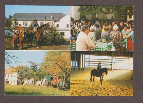 AK St. Johann in der Haide. Altenberg. Gasthof Pension Pfeifer. Reiterzentrum Häuserl am Wald.