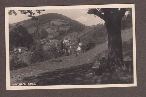 AK Waldbach.