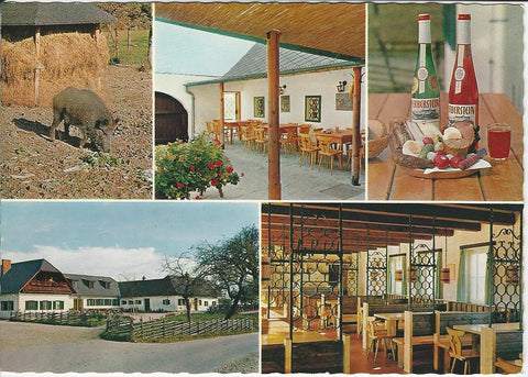 AK St. Johann bei Herberstein. Buschenschank Gut Herberstein.