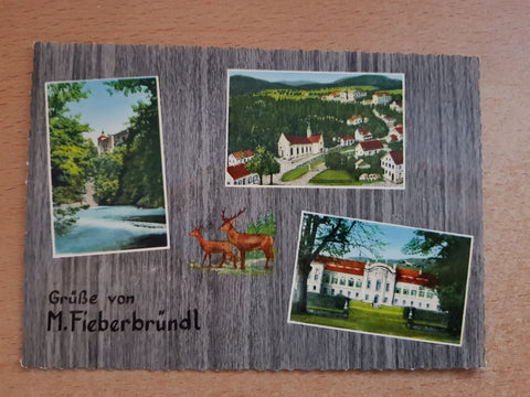 AK Grüße von M. Fieberbründl.